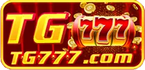 Tempo Partner Logo